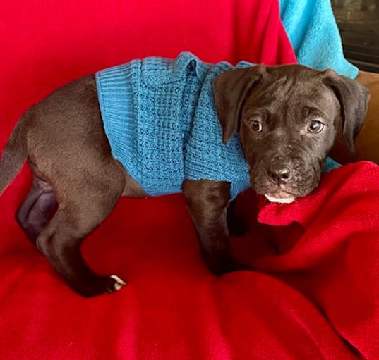 Photo of Baby Ruth
