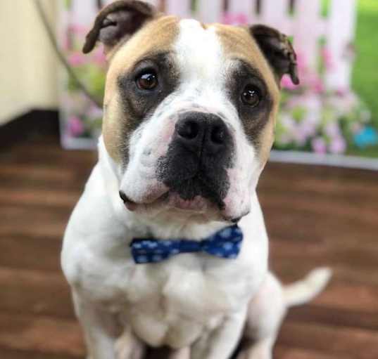 Photo of Grady