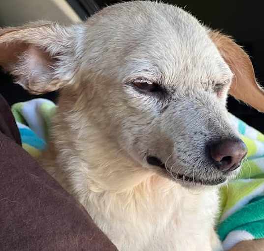 Photo of Lola