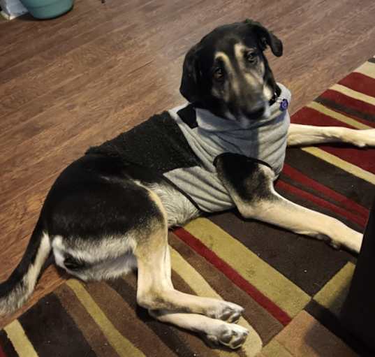 Photo of Daisey Mae