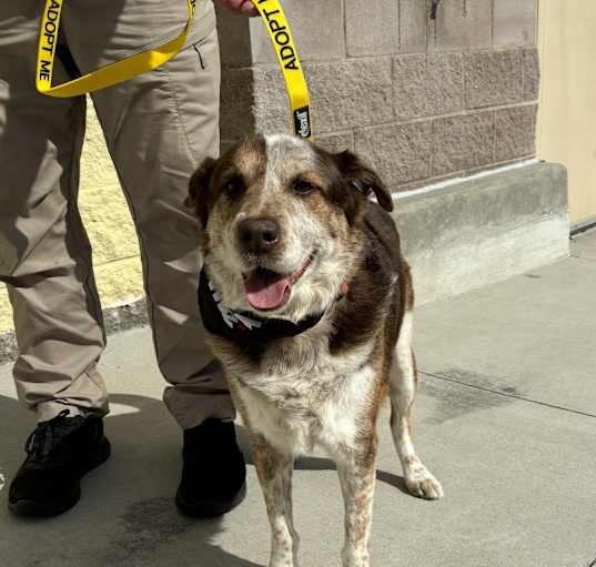 Photo of Tookie