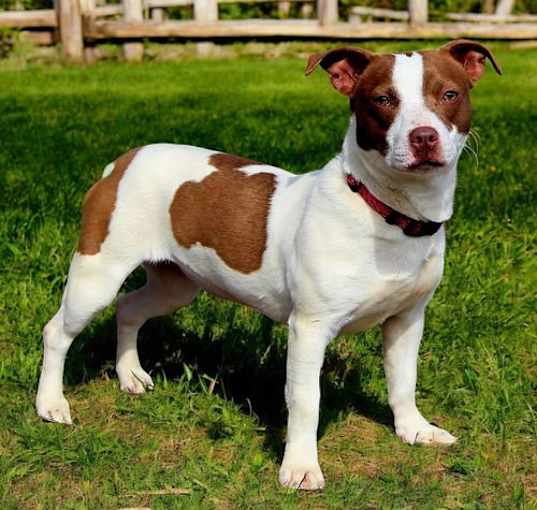 Photo of BONNIE