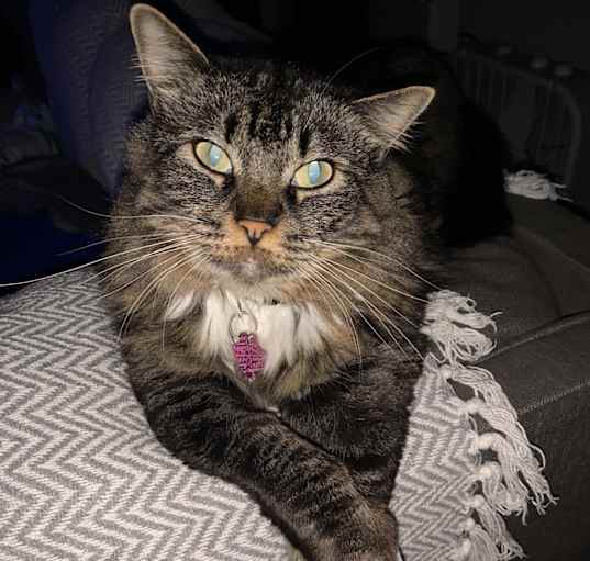 Photo of Echo