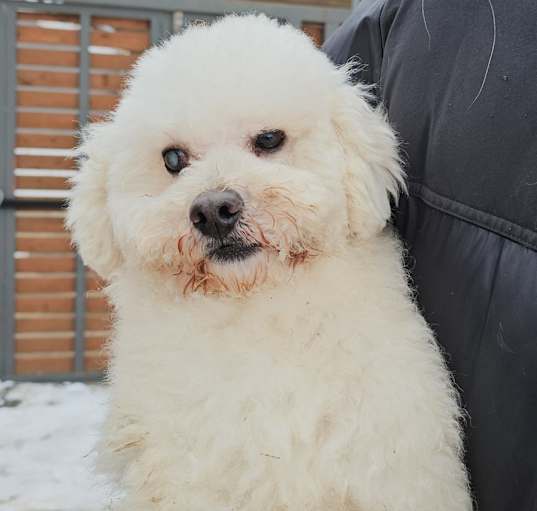 Photo of Snow