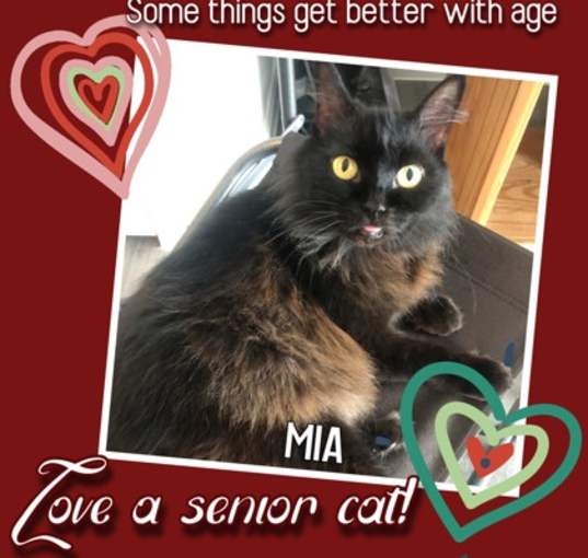 Photo of Mia
