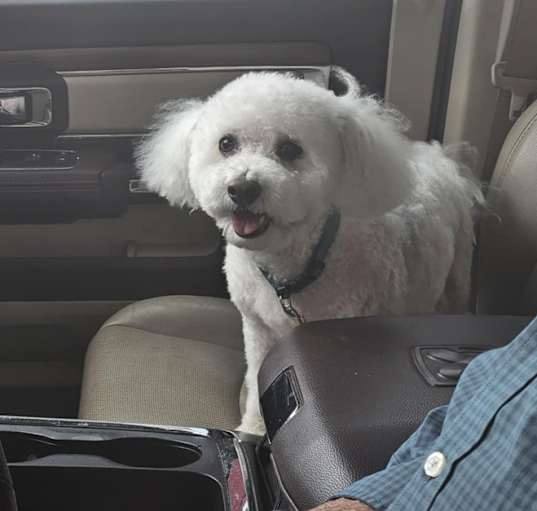 Photo of Oliver