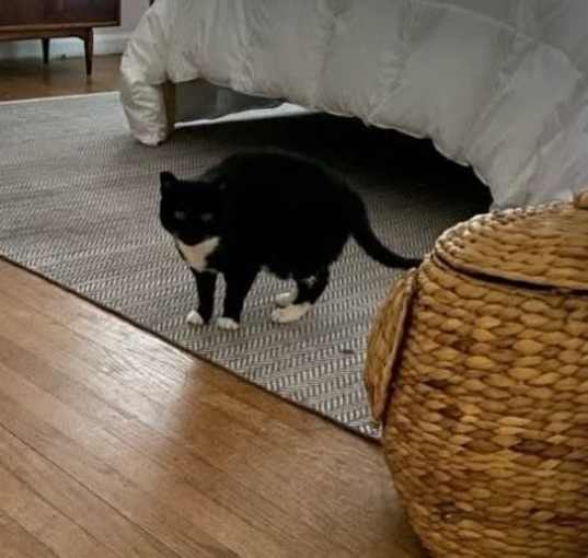 Photo of Dot