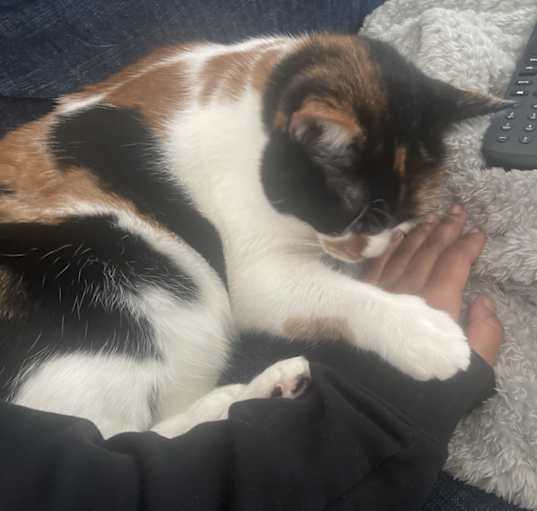 Photo of Evie