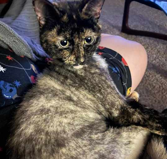 Photo of Bebe