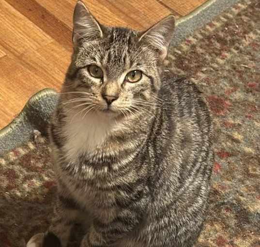 Photo of Smalls
