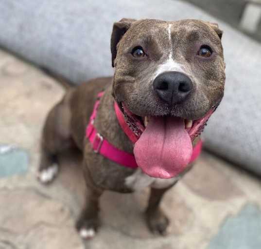 Photo of Coco