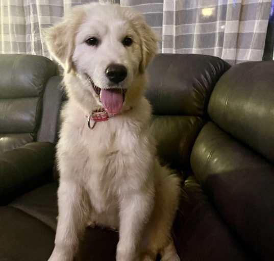 Photo of Jovi