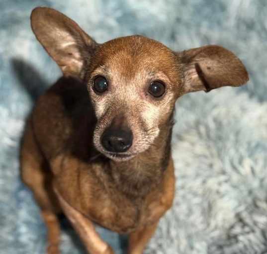 Photo of Sammy
