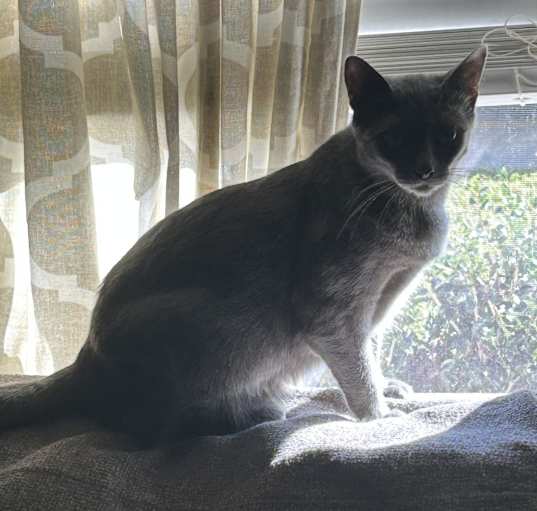 Photo of Hazel