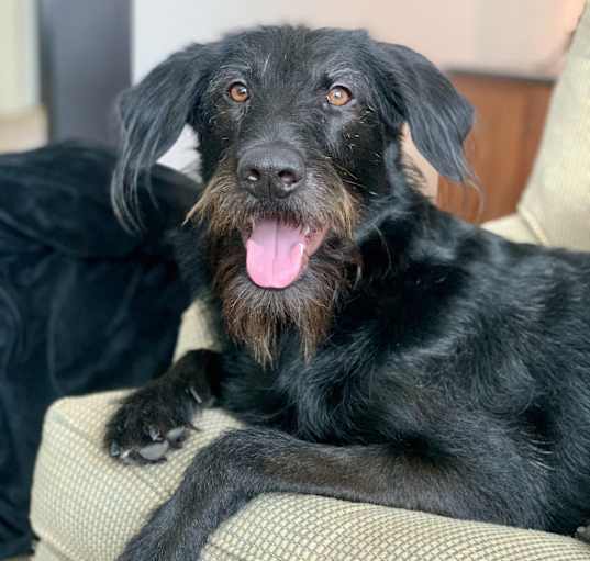 Photo of Mimi