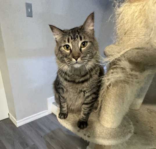 Photo of Little baby