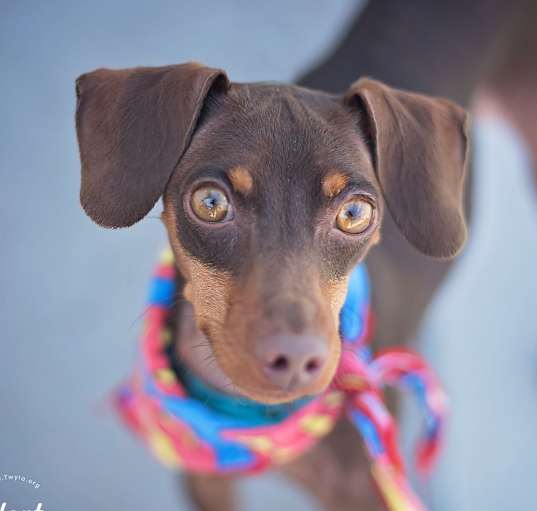 Photo of Orbit