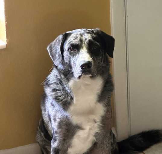 Photo of Luey