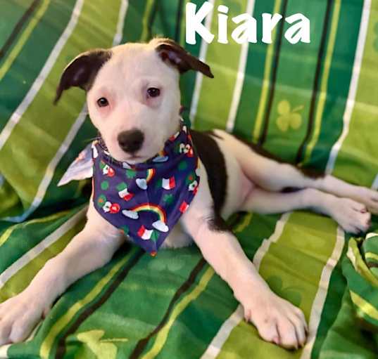Photo of Kiara