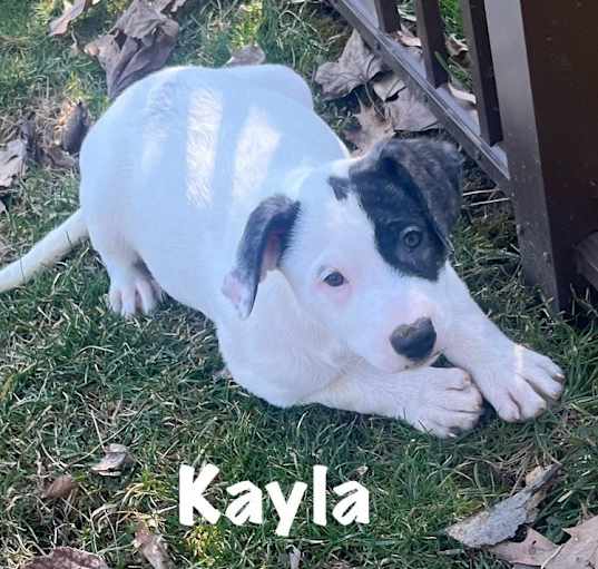 Photo of Kayla