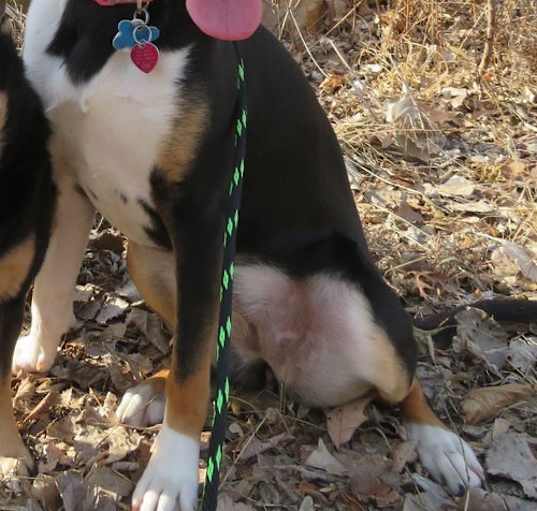 Photo of Katie