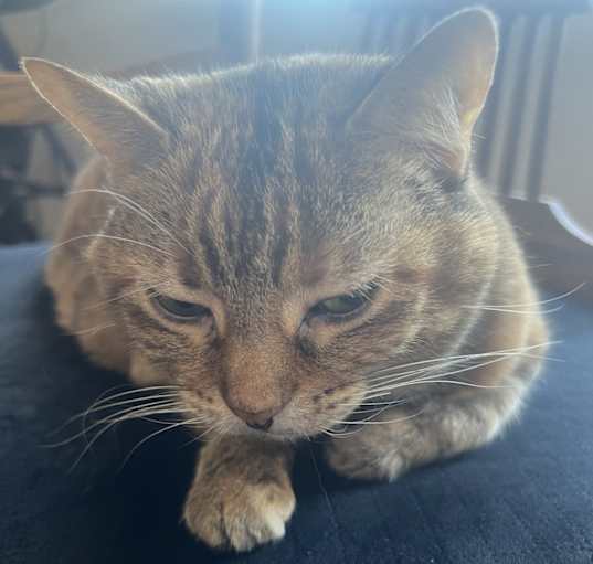 Photo of Steffie