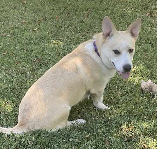 Photo of Buster