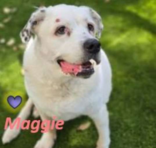 Photo of Maggie