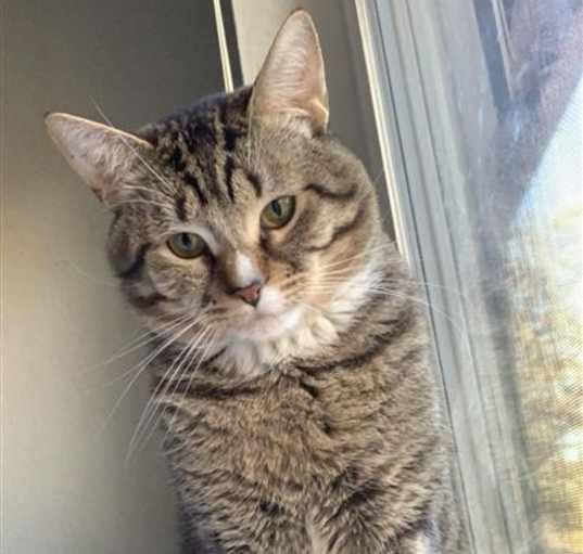 Photo of Frankie