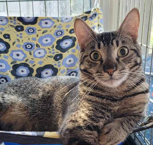 Photo of Lily