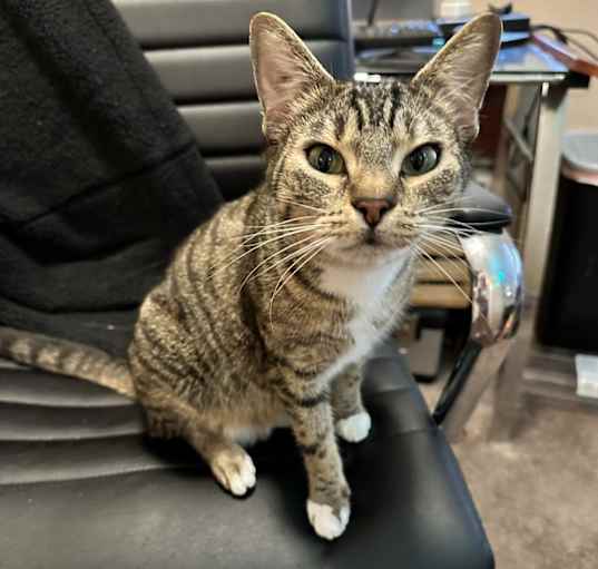 Photo of Tabitha