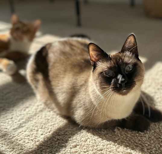 Photo of Athena
