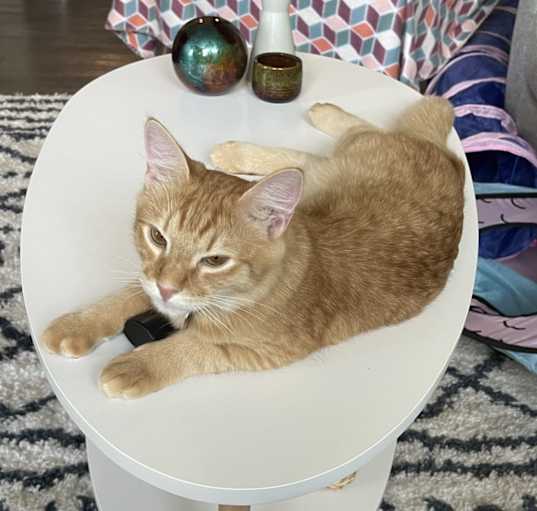 Photo of Simon