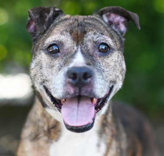 Photo of NELLIE