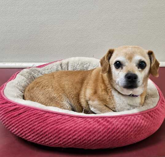 Photo of Chuy