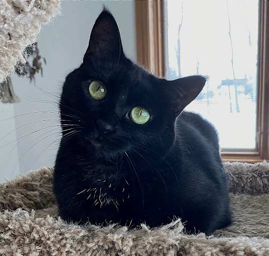 Photo of Ember