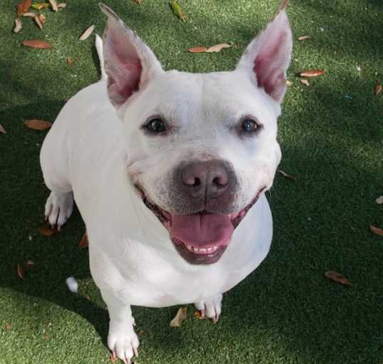 Photo of Diamond