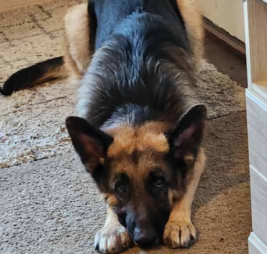 Photo of Kronos