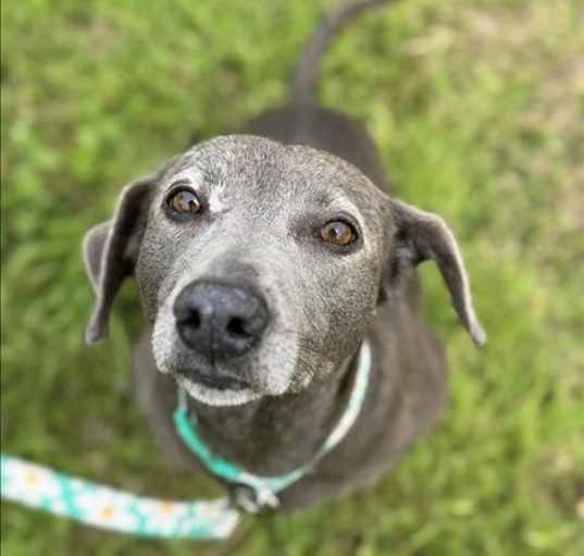Photo of DAISY