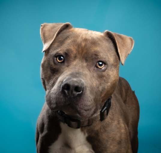Photo of Kratos