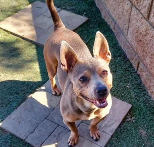 Photo of Coco