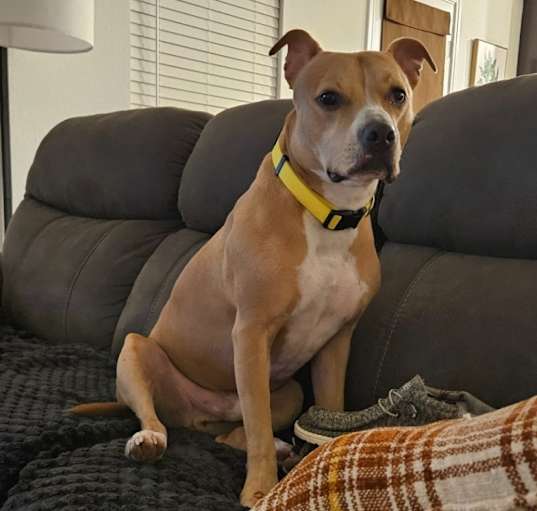 Photo of Ranger
