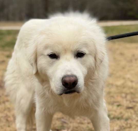 Photo of Sam