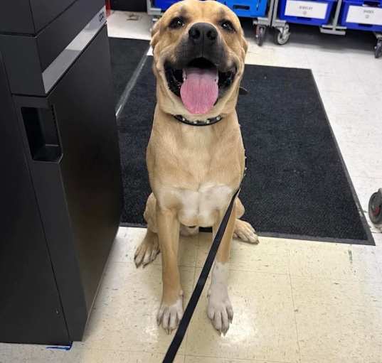 Photo of Wally