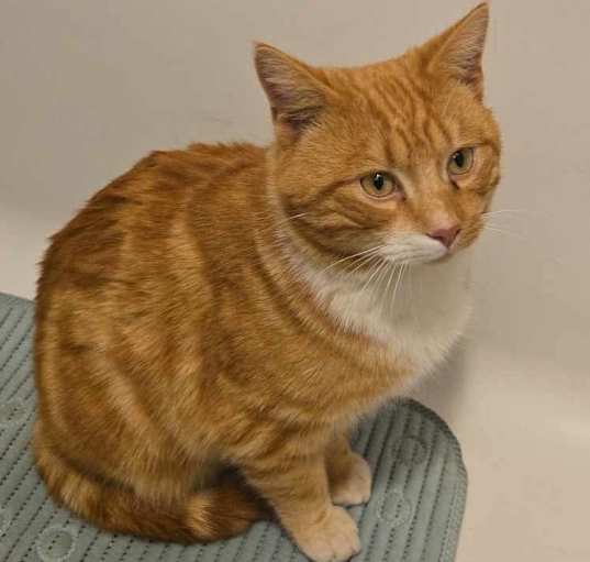 Photo of Theodore