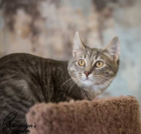 Photo of Jossie