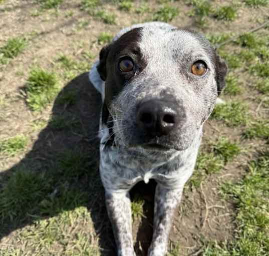 Photo of Maggie