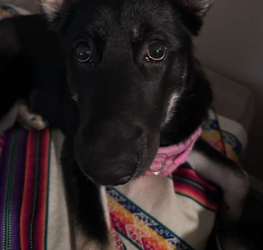 Photo of Linda