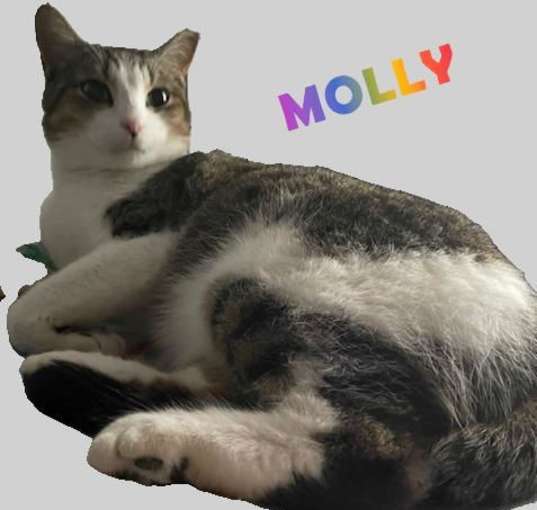 Photo of Molly #snugglicious
