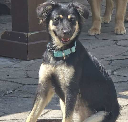 Photo of Nestle